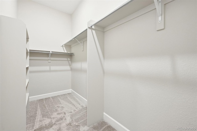 spacious closet with light colored carpet