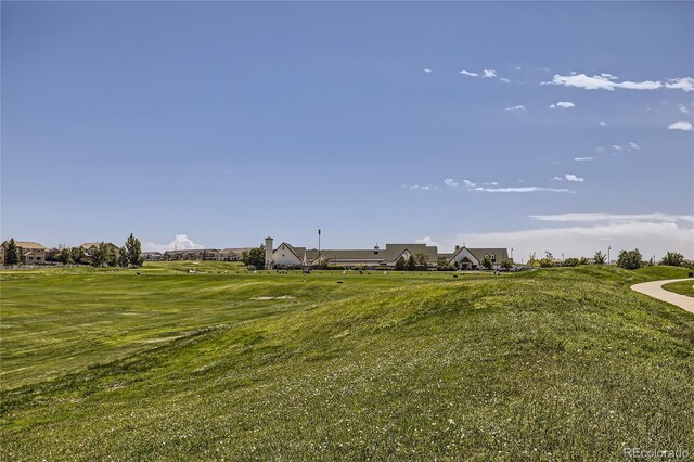 view of green lawn