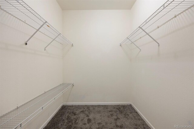 3857 Mossy Rock Dr Unit 201, Highlands Ranch, CO 80126 - walk in closet with carpet floors