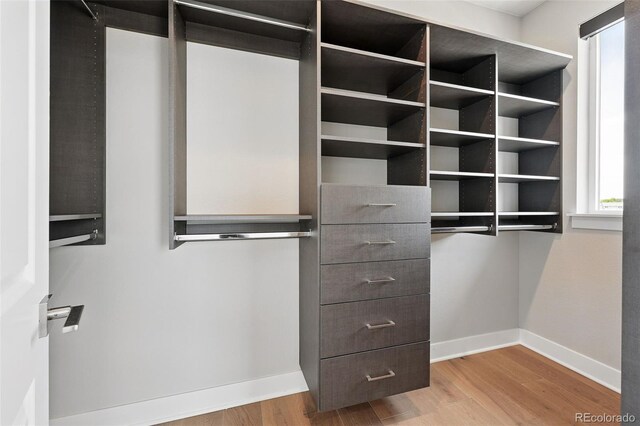 815 Promenade Dr, Superior, CO 80027 - walk in closet featuring wood finished floors