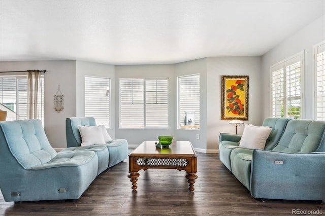 2307 Candleglow St, Castle Rock, CO 80109 - photo 7