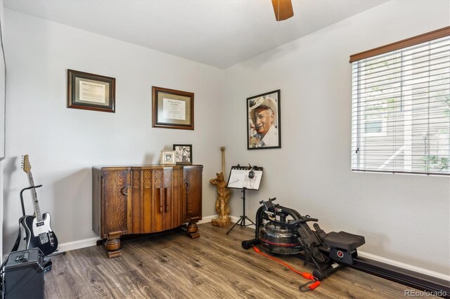 2307 Candleglow St, Castle Rock, CO 80109 - photo 13