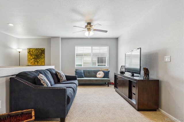 2307 Candleglow St, Castle Rock, CO 80109 - photo 34