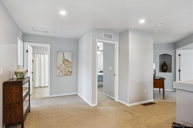 2307 Candleglow St, Castle Rock, CO 80109 - photo 36
