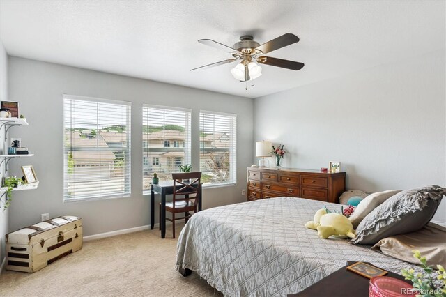 2307 Candleglow St, Castle Rock, CO 80109 - photo 39