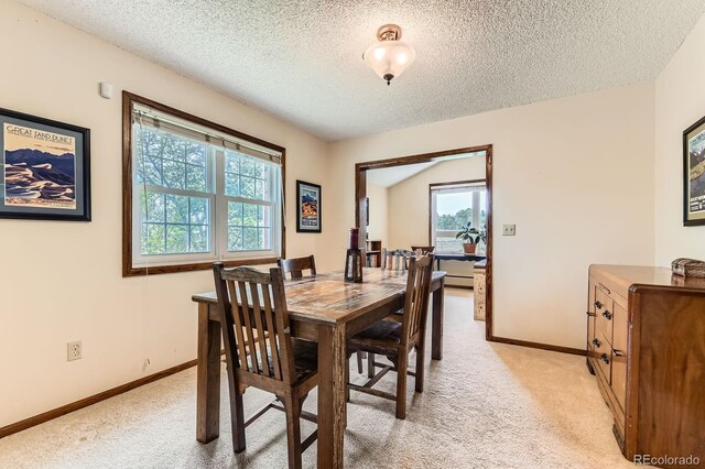 6351 S Andes Pl, Centennial, CO 80016 - dining room featuring light carpet, baseboards, and a textured ceiling