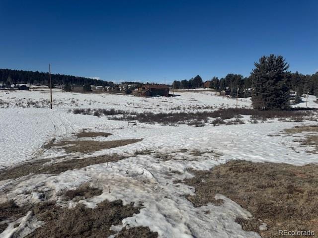 163 Uintah Vale Dr, Florissant CO, 80816 land for sale