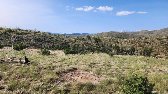 56 Kit Carson Ln, Cotopaxi, CO 81223