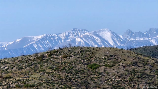 56 Kit Carson Ln, Cotopaxi, CO 81223
