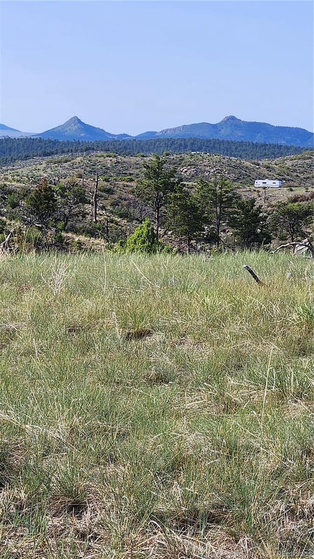 56 Kit Carson Ln, Cotopaxi, CO 81223
