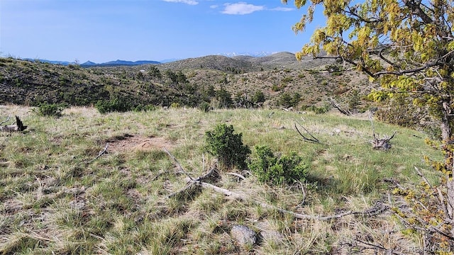 56 Kit Carson Ln, Cotopaxi, CO 81223