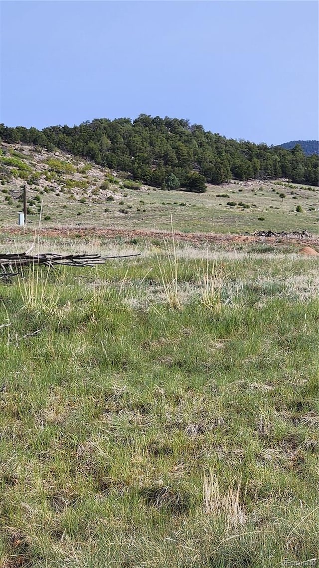 56 Kit Carson Ln, Cotopaxi, CO 81223