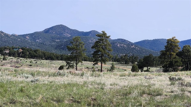 56 Kit Carson Ln, Cotopaxi, CO 81223