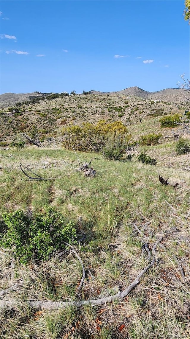 56 Kit Carson Ln, Cotopaxi, CO 81223