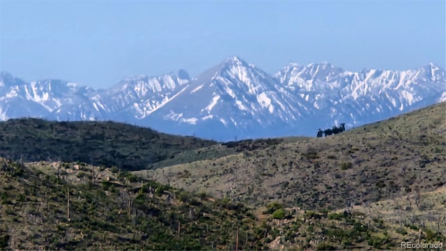 56 Kit Carson Ln, Cotopaxi, CO 81223