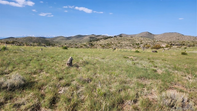 56 Kit Carson Ln, Cotopaxi, CO 81223