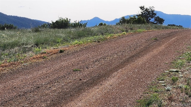 56 Kit Carson Ln, Cotopaxi, CO 81223