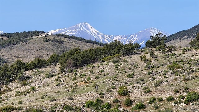 56 Kit Carson Ln, Cotopaxi, CO 81223