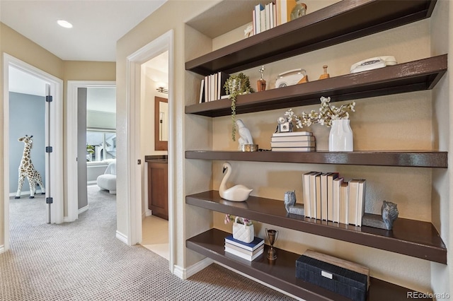 2841 Wyecliff Way, Highlands Ranch, CO 80126 - detailed view of carpet floors and baseboards