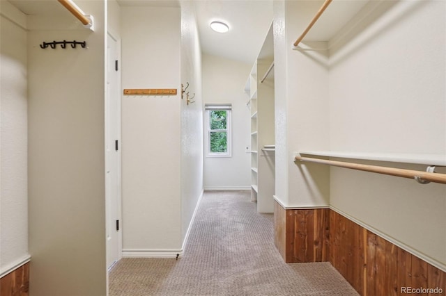 2841 Wyecliff Way, Highlands Ranch, CO 80126 - walk in closet with carpet floors