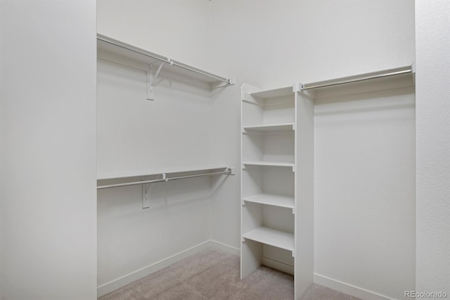 spacious closet with carpet flooring