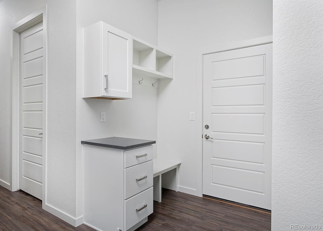 mudroom featuring dark wood-style flooring