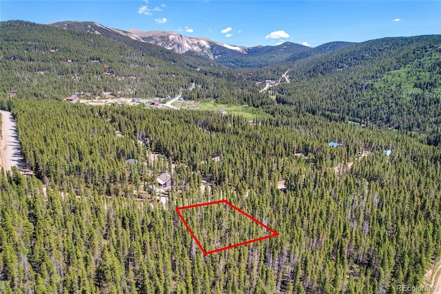 LOT172 Lower Forest Rd, Idaho Springs CO, 80452 land for sale