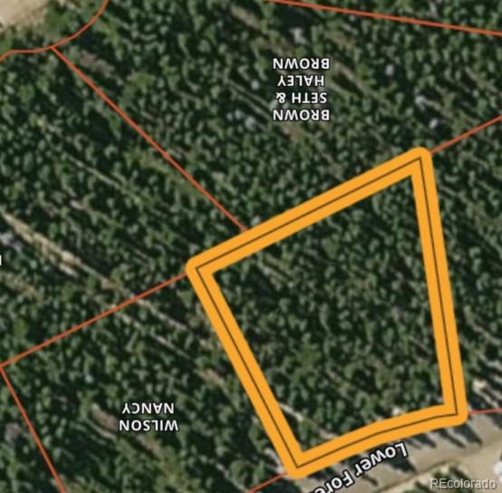 LOT172 Lower Forest Rd, Idaho Springs, CO 80452