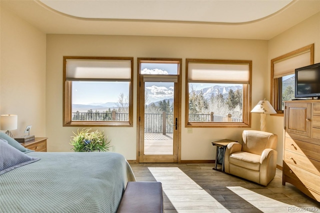 bedroom featuring access to outside, multiple windows, wood finished floors, and baseboards