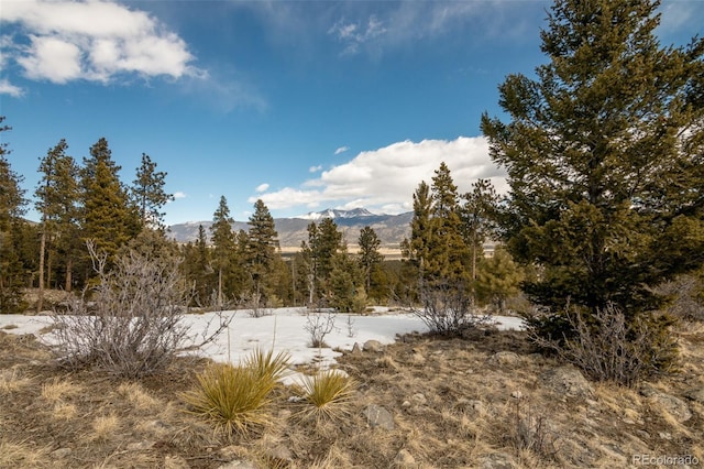 view of local wilderness with a mountain view