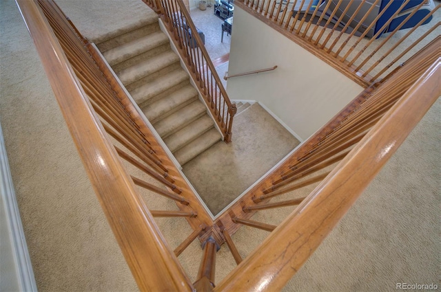 staircase with carpet floors