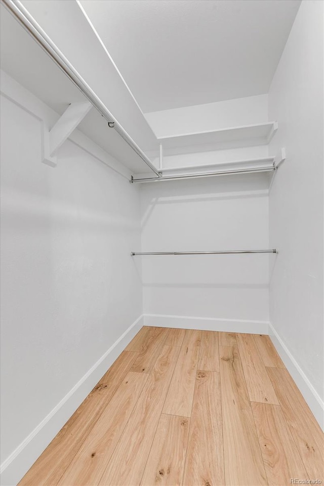 8705 W 86th Dr, Arvada, CO 80005 - walk in closet featuring wood finished floors