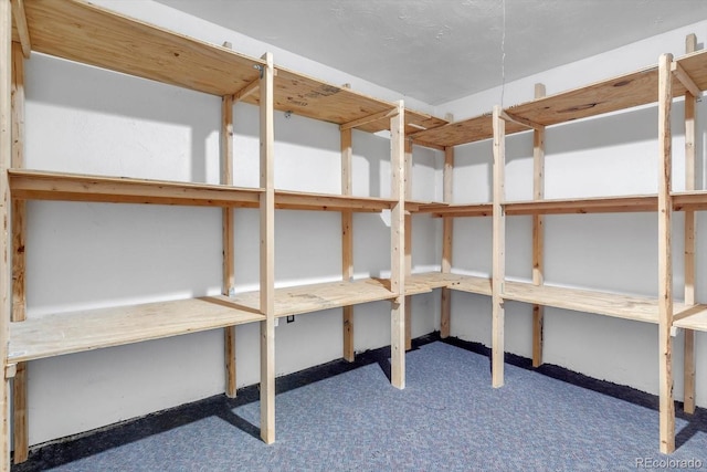 8705 W 86th Dr, Arvada, CO 80005 - view of storage