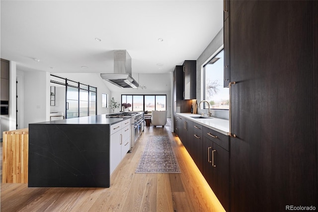 kitchen featuring light wood finished floors, extractor fan, stainless steel stove, modern cabinets, and a sink