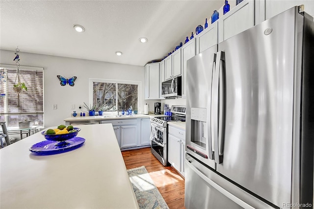 kitchen with a healthy amount of sunlight, stainless steel appliances, and light countertops