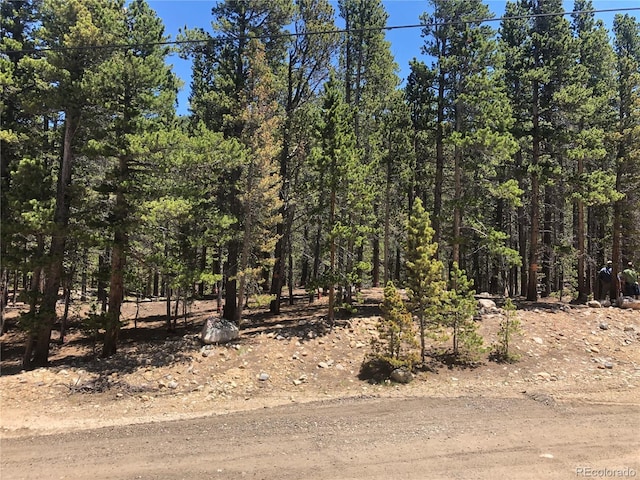 Silver Creek Rd, Idaho Springs, CO 80452