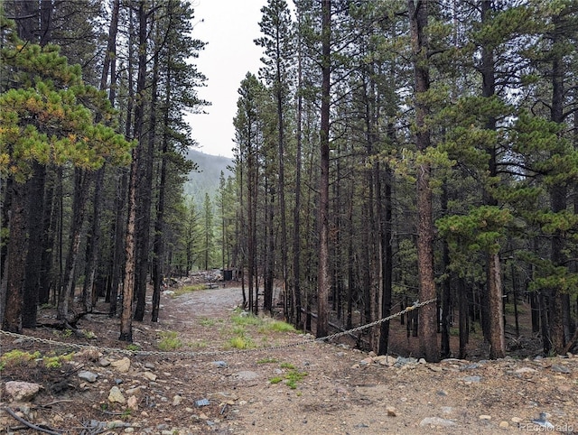 Silver Creek Rd, Idaho Springs, CO 80452