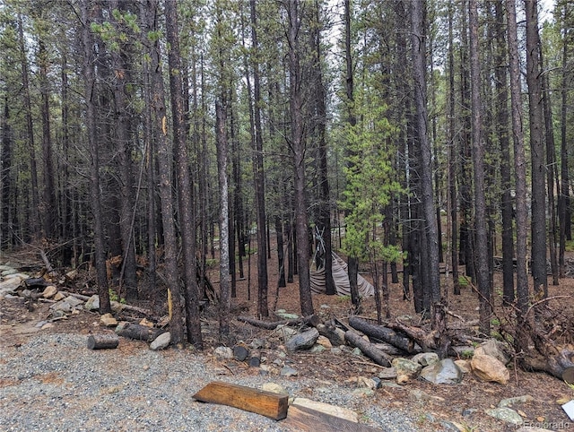 Silver Creek Rd, Idaho Springs, CO 80452