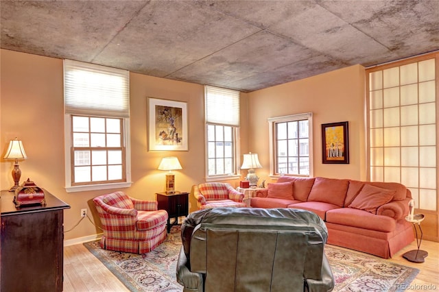 living room featuring light hardwood / wood-style floors