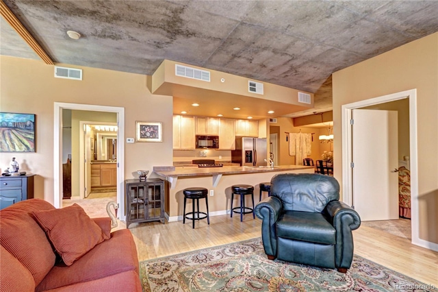 living room featuring light hardwood / wood-style floors