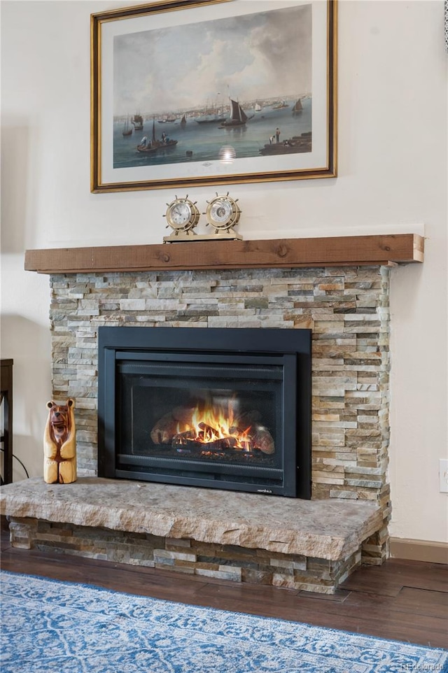 details featuring wood-type flooring and a fireplace