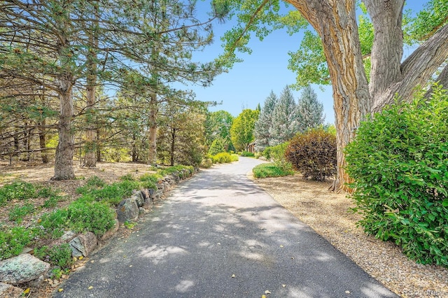 8576 Niwot Meadow Farm Rd, Niwot, CO 80503 - photo 3