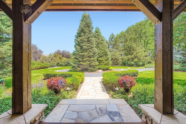 8576 Niwot Meadow Farm Rd, Niwot, CO 80503 - photo 36