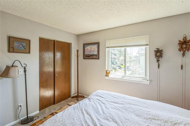 7209 N Hyperion Way, Parker, CO 80134 - photo 22