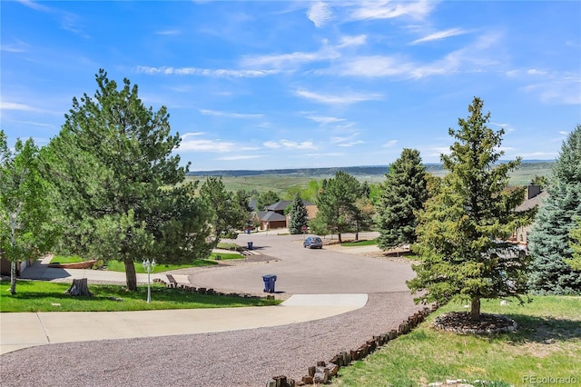 7209 N Hyperion Way, Parker, CO 80134 - photo 28