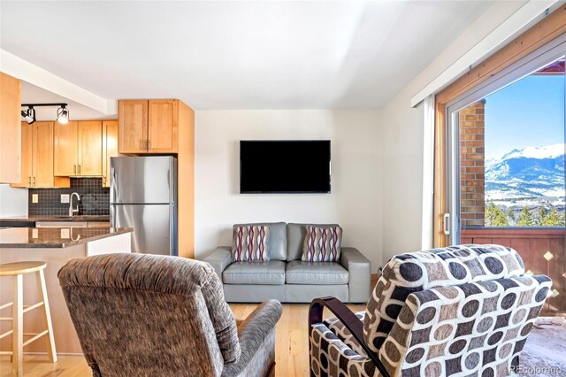 150 Evergreen Rd Unit 204, Dillon, CO 80435 - living room featuring plenty of natural light, light wood-style floors, and rail lighting
