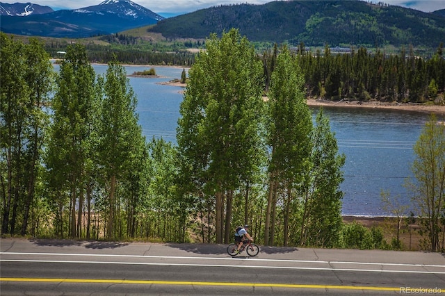 150 Evergreen Rd Unit 204, Dillon, CO 80435 - water view featuring a mountainous background