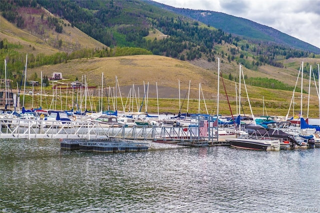 150 Evergreen Rd Unit 204, Dillon, CO 80435 - dock featuring a water and mountain view, view of marina, and a view of trees
