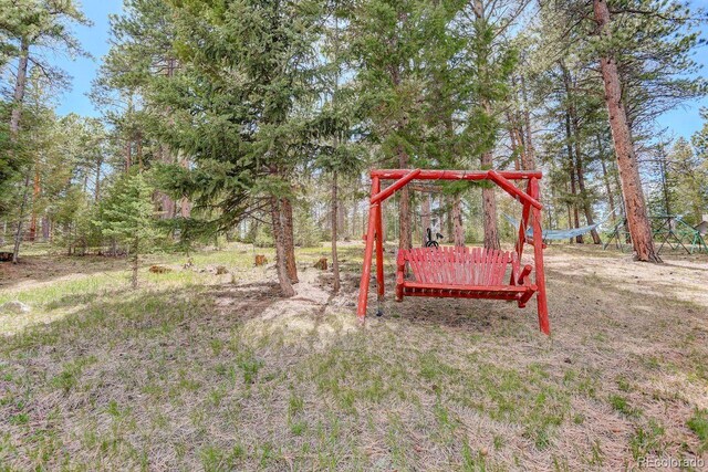 8795 Rudd Rd, Evergreen, CO 80439 - view of yard