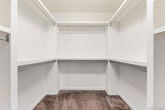 3692 Celestial Ave, Castle Rock, CO 80109 - spacious closet featuring carpet flooring